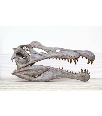 世界に一つ!!　ティラノサウルス・レックス　1/10 木彫頭骨模型16.5cm 世界に一つ!! ティラノサウルス・レックス 1/10 木彫頭骨模型
